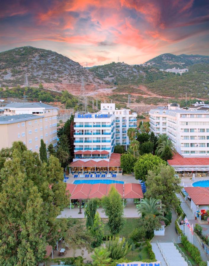 Blue Fish Hotel Konakli Exterior photo
